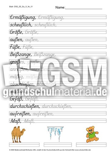 DSS_2S_Bu_ß_Nr_01.pdf